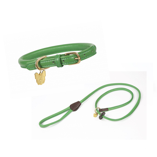 Dog collar and lead, leather, green
