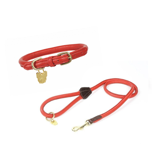Dog collar and lead, leather, red